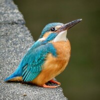 ✨おはようございます✨