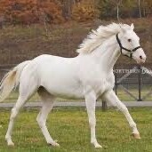 ✨出勤しました✨