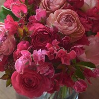 ✨🪷1月22日🪷✨