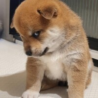 おはようございます☀️