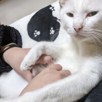 今週末の予定ですが💦