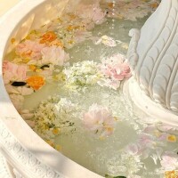 出勤しました☺︎