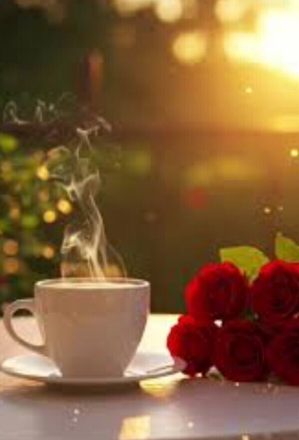 ✨🪷1月23日🪷✨