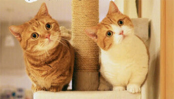 ✨出勤しました✨