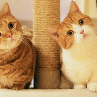 ✨出勤しました✨