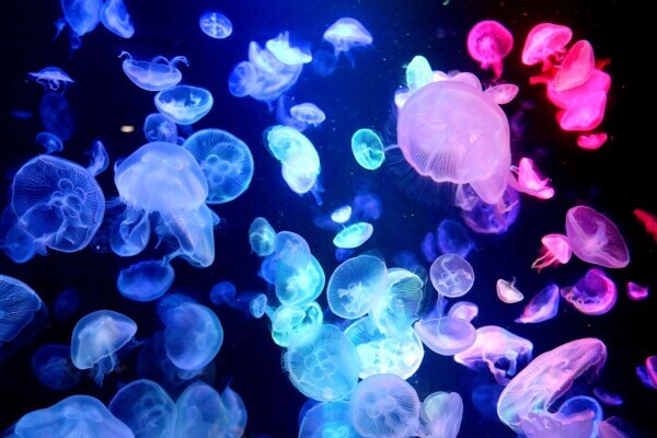 おはよーございますぅ🐧🍃