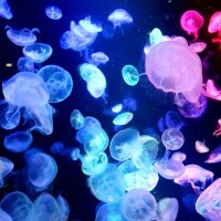 おはよーございますぅ🐧🍃