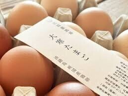 🥚✨大寒たまご✨🥚