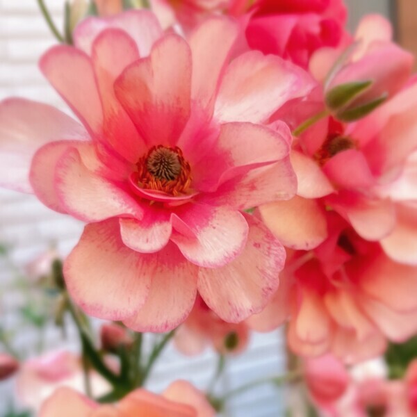 出勤します🙌✨