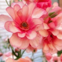 出勤します🙌✨