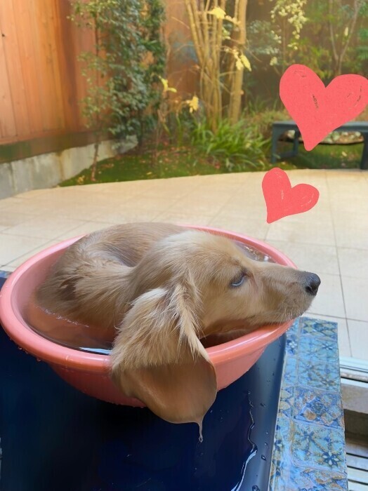 ✨🪷１月24日🪷✨