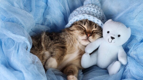 ✨出勤しました✨