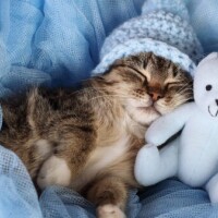 ✨出勤しました✨