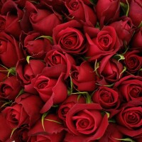 午後から出勤します