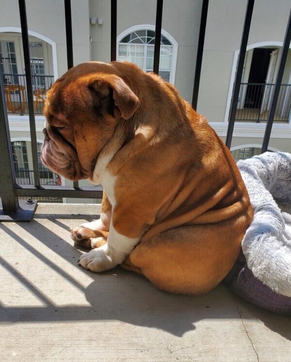 🎀出勤しました🎀