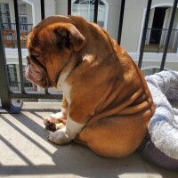 🎀出勤しました🎀