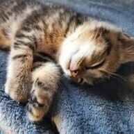 ✨本日もありがとうございました✨