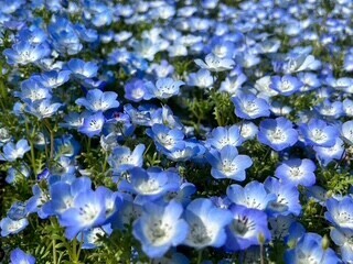 🎀今週の予定🎀