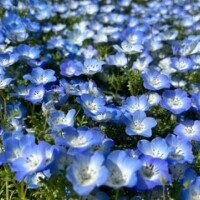 🎀今週の予定🎀