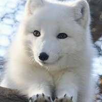 次回 出勤は28日㈬