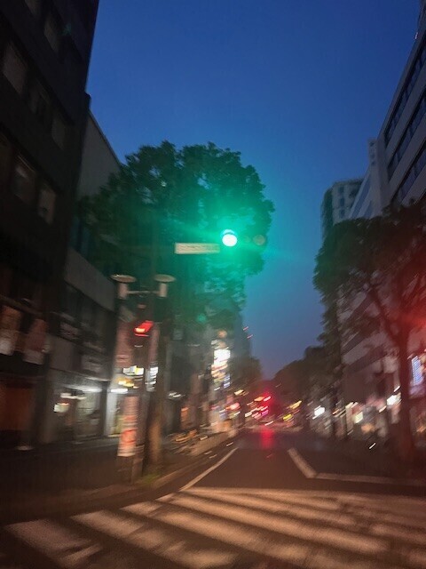 出勤しました🌙