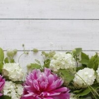 ありがとうございました♥️