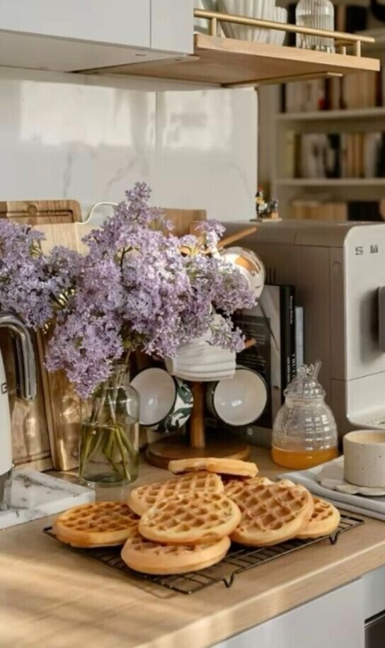 ✨🪷1月28日🪷✨