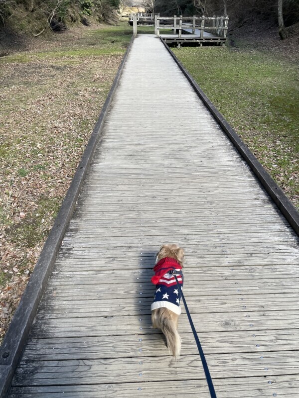 (木)お休みです🙏