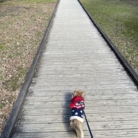 (木)お休みです🙏