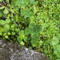 🎀本日のお礼🎀