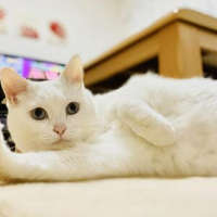 お気を付けてお越し下さいね🙂