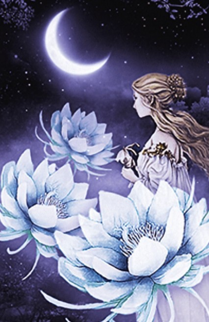 今夜も有難うございました🙇✨