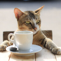 ✨おはようございます✨