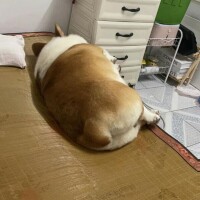 お疲れ様でした🌃