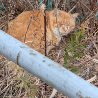 出勤しました☀