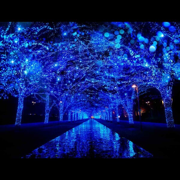 ✨今日も1日お疲れ様です✨