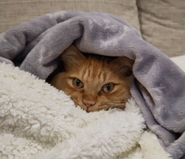 ✨おはようございます✨