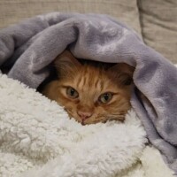 ✨おはようございます✨