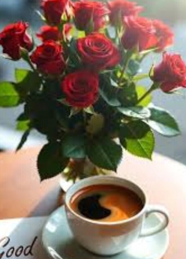 ✨🪷1月30日🪷✨