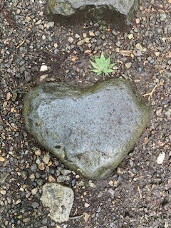 出勤しました🎀