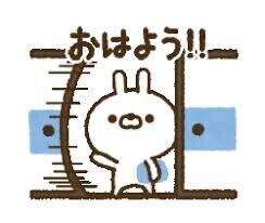 おはようございます☀