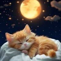 ✨本日もありがとうございました✨