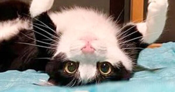 ✨おはようございます✨