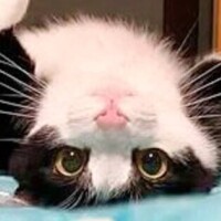 ✨おはようございます✨