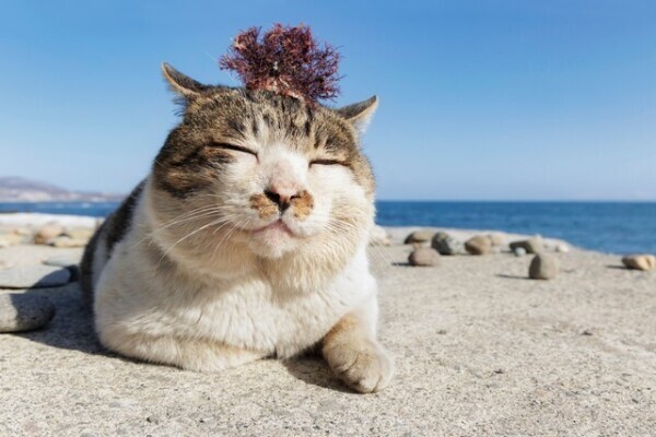 ✨おはようございます✨