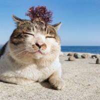 ✨おはようございます✨