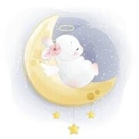 ( ᎔‐ ~-᎔)𓈒𓂂𓏸