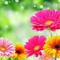 立春🌸夕方から出勤です🤗