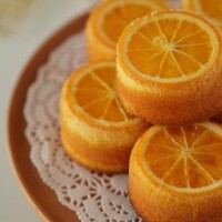 ✨🪷夕方から🪷✨