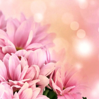 またお待ちしております✨